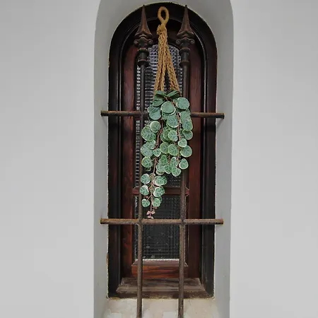 Dream 公寓 科拉雷侯