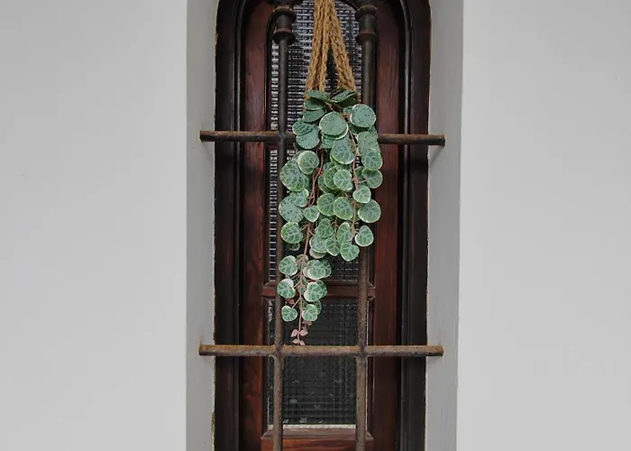 Dream Apartman Corralejo